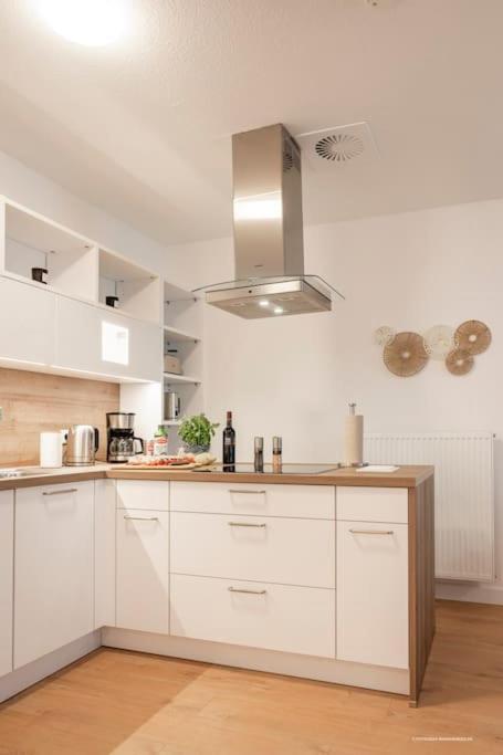 Xxl Design-Appartement Highdesign 10 Pers Zentral Naehe Heidelberg Und Mannheim Вайнгайм Екстер'єр фото